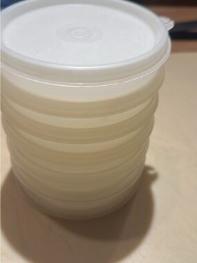Tupperware hamburger freezer 6 holders, one lid.